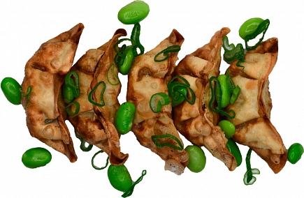 Chicken Gyoza